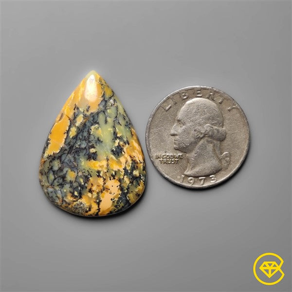 Dendritic Agate