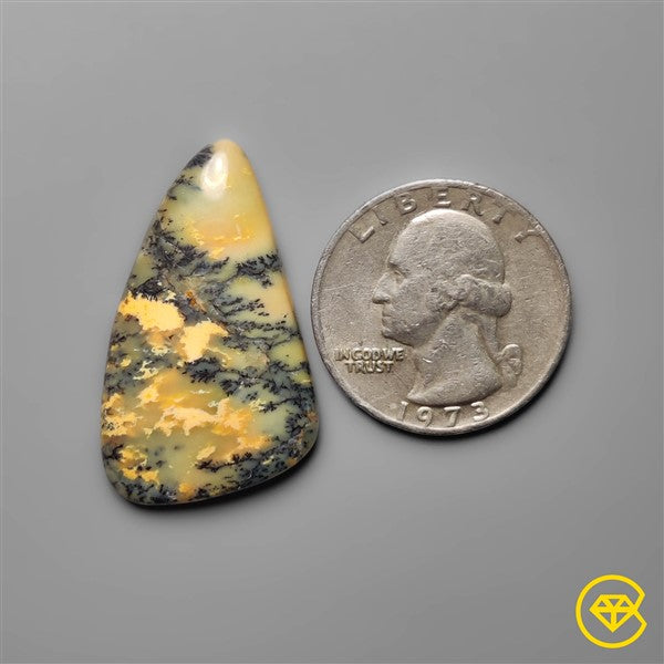 Dendritic Agate
