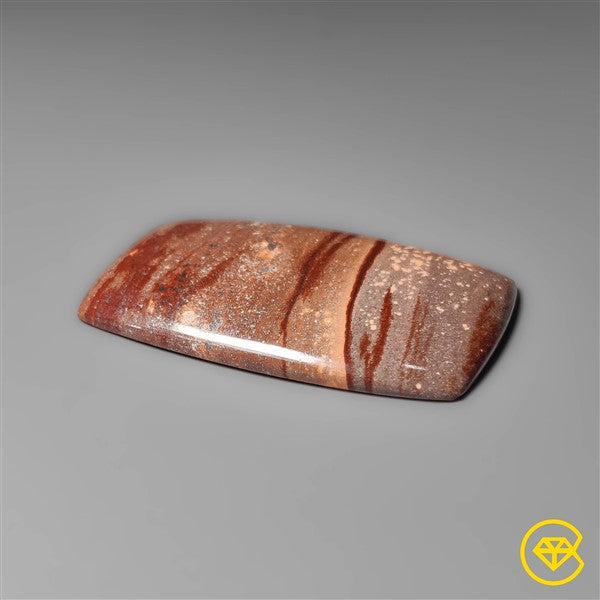 Gila Monster Agate