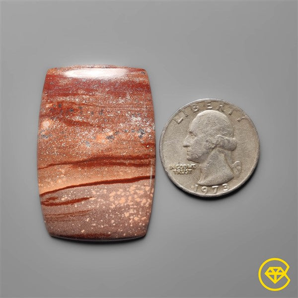 Gila Monster Agate