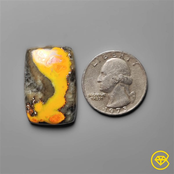 Bumble Bee Jasper