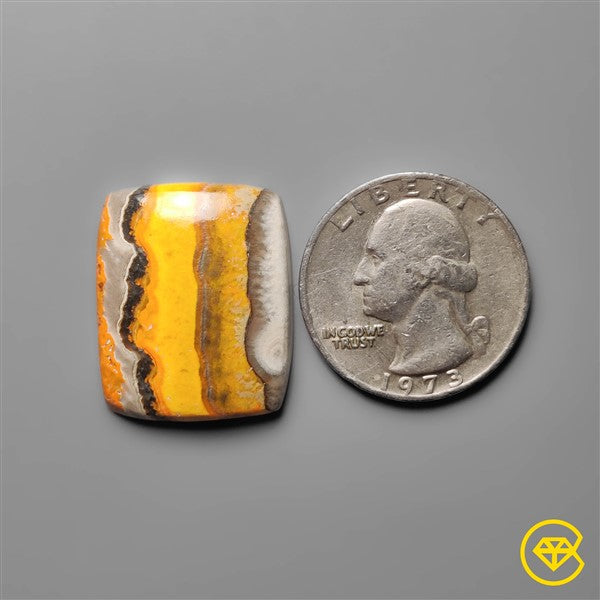 Bumble Bee Jasper
