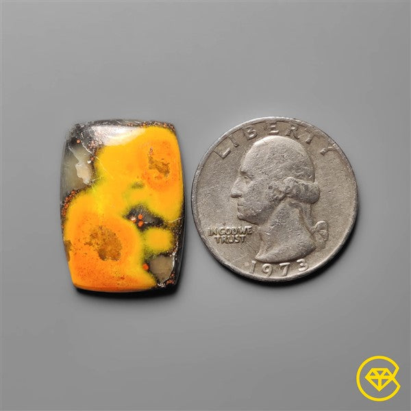 Bumble Bee Jasper