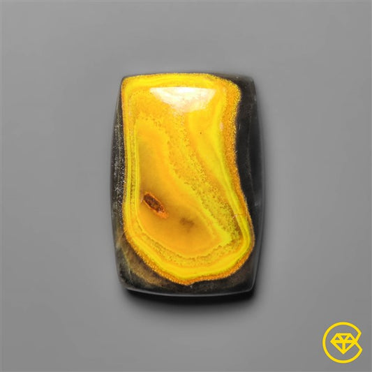 Bumble Bee Jasper