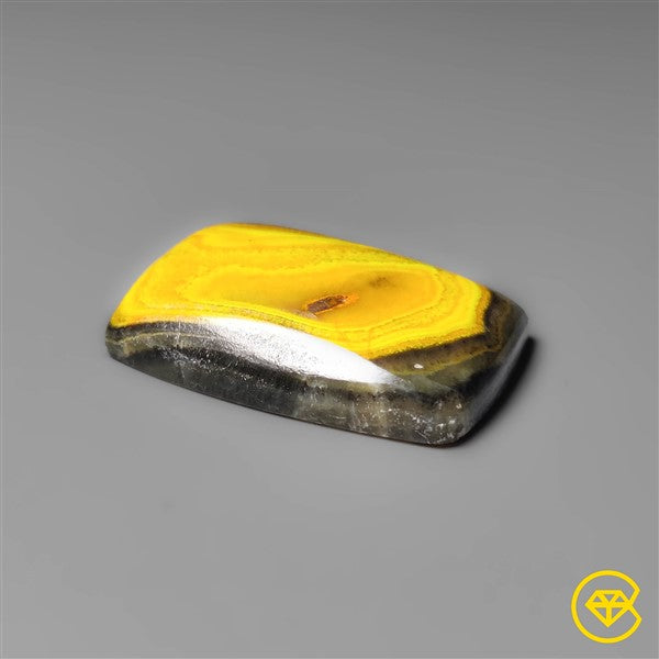 Bumble Bee Jasper