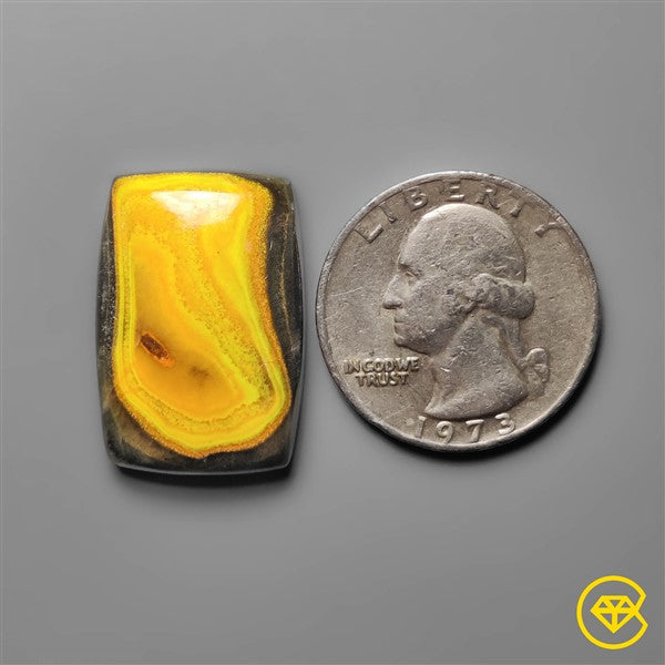 Bumble Bee Jasper