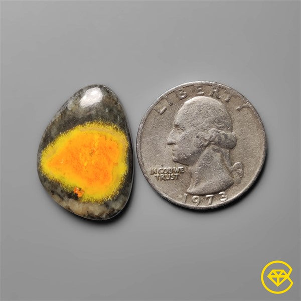 Bumble Bee Jasper