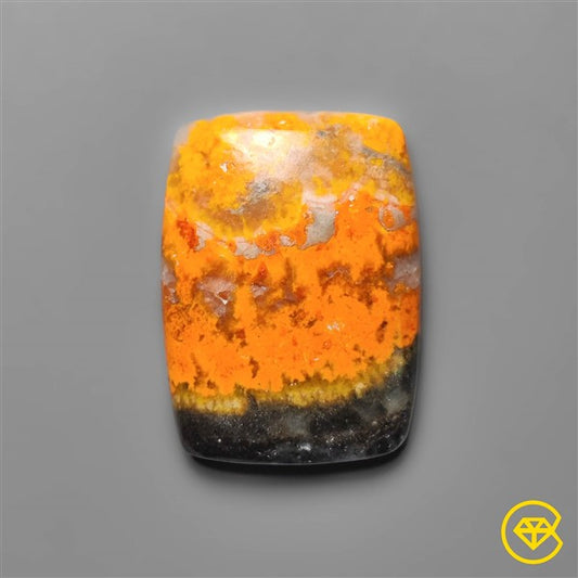 Bumble Bee Jasper