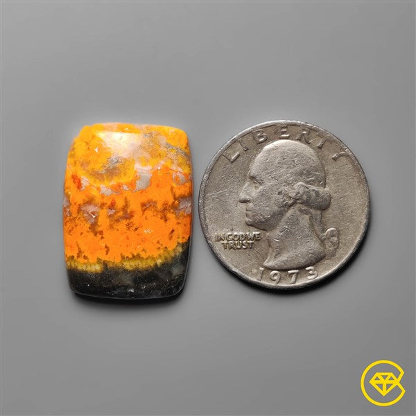 Bumble Bee Jasper