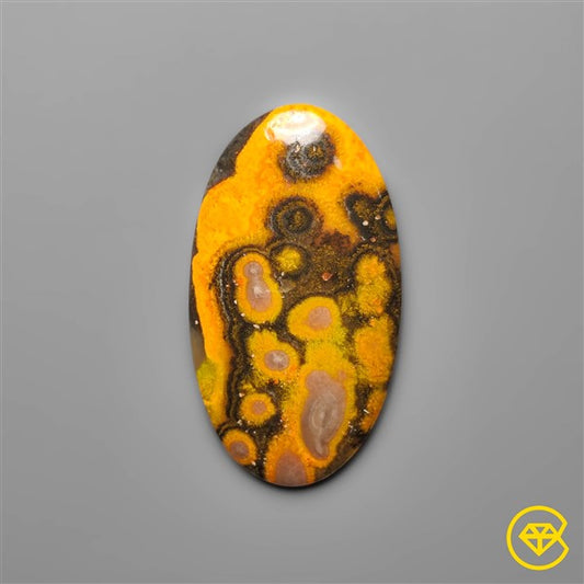Bumble Bee Jasper