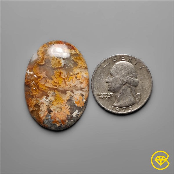 Plume Agate