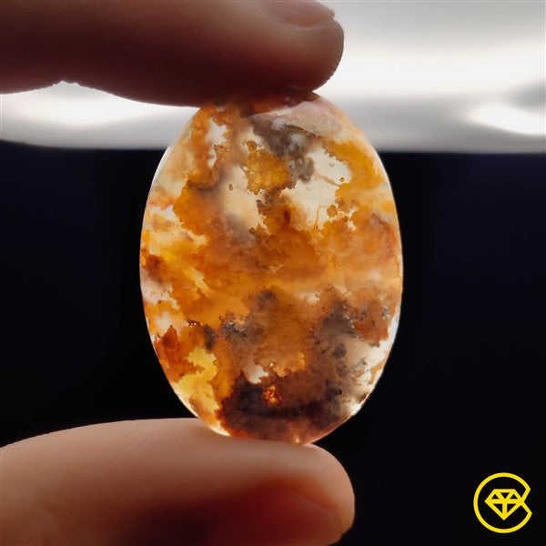 Plume Agate