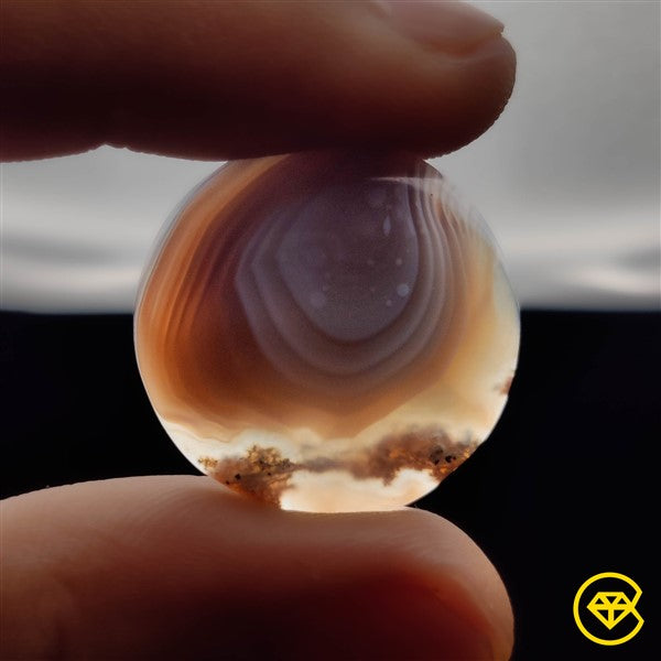 Botswana Agate