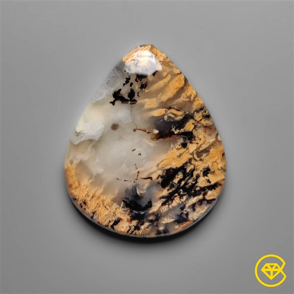 Dendritic Agate
