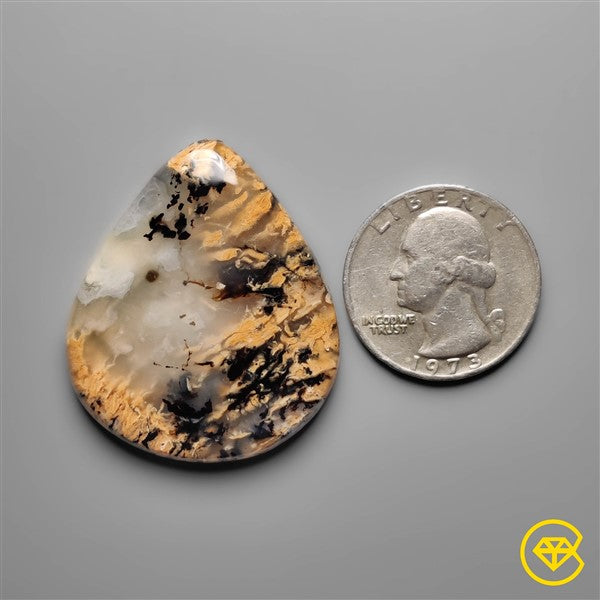 Dendritic Agate