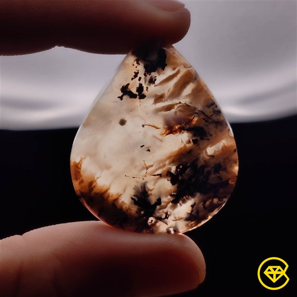 Dendritic Agate