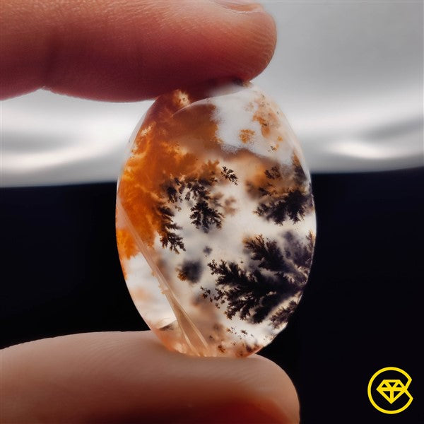 Dendritic Agate
