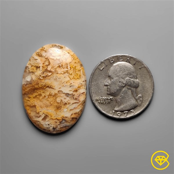 Plume Agate
