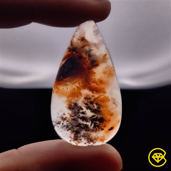 Dendritic Agate