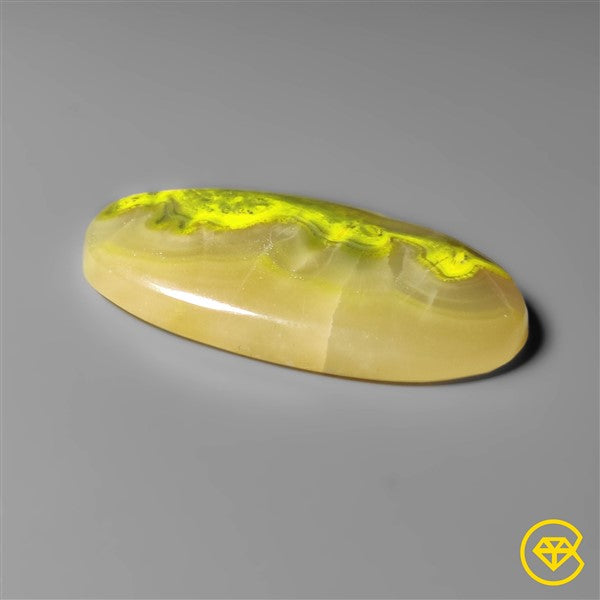 Bumble Bee Jasper