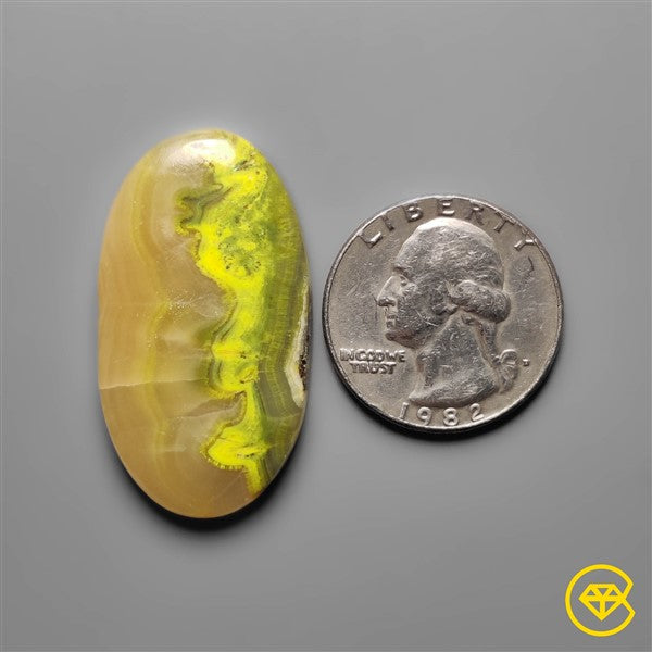 Bumble Bee Jasper