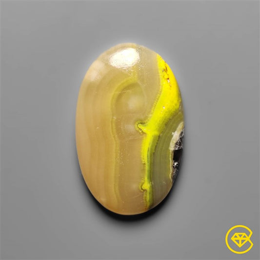 Bumble Bee Jasper