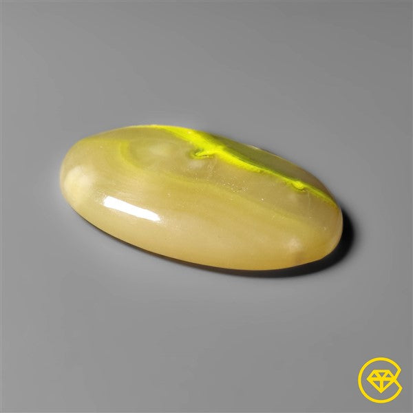 Bumble Bee Jasper