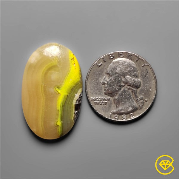 Bumble Bee Jasper