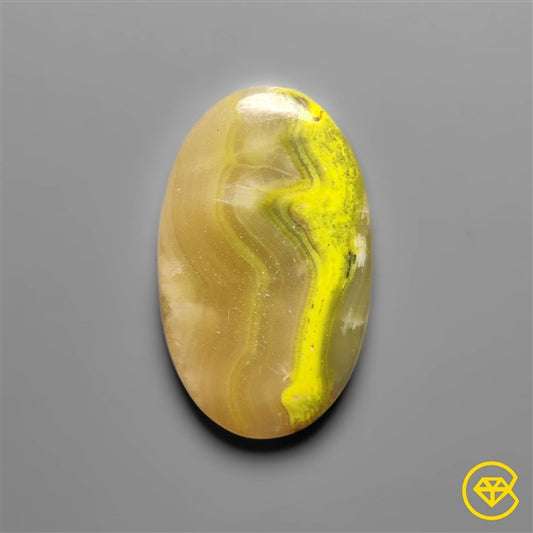 Bumble Bee Jasper