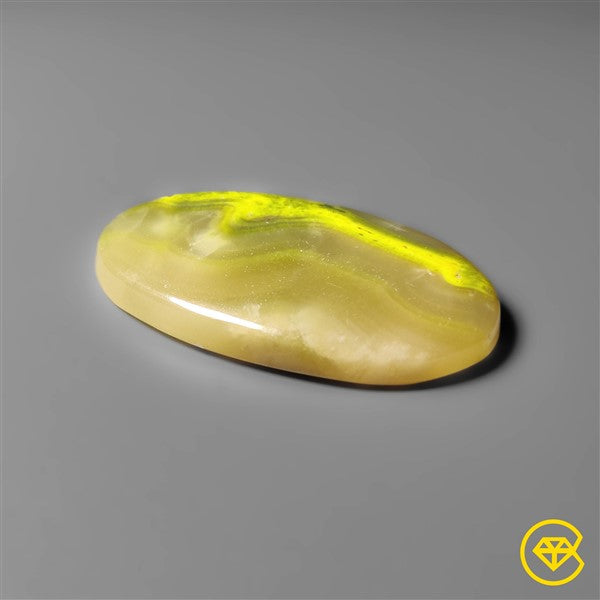 Bumble Bee Jasper