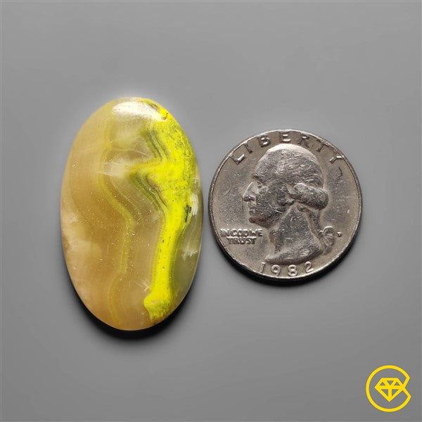 Bumble Bee Jasper