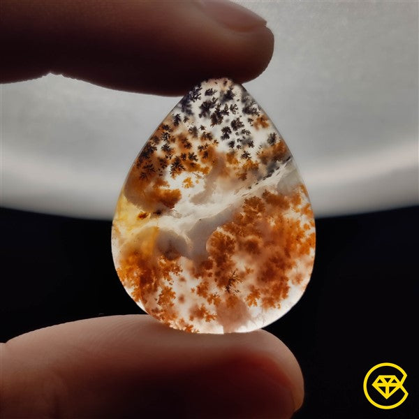 Dendritic Agate