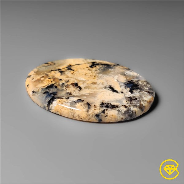 Dendritic Agate
