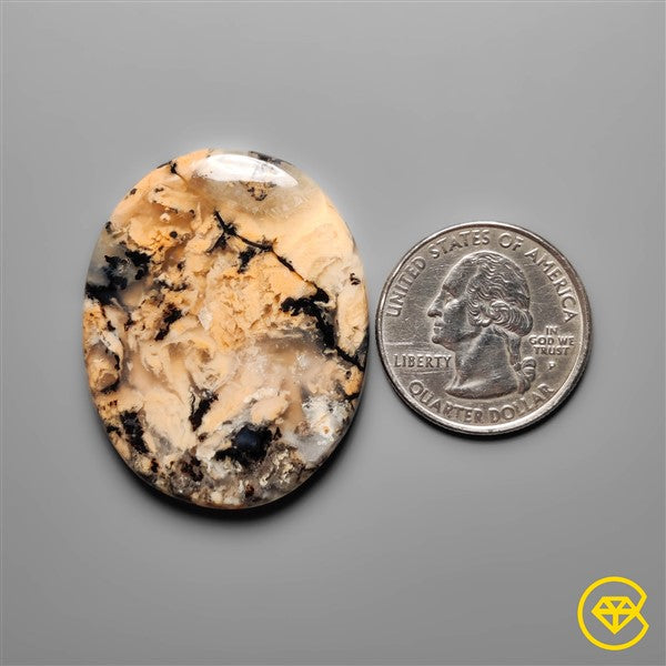 Dendritic Agate