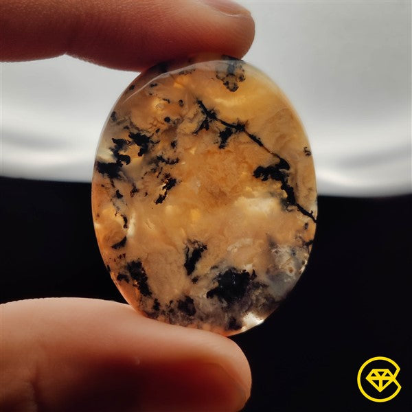 Dendritic Agate