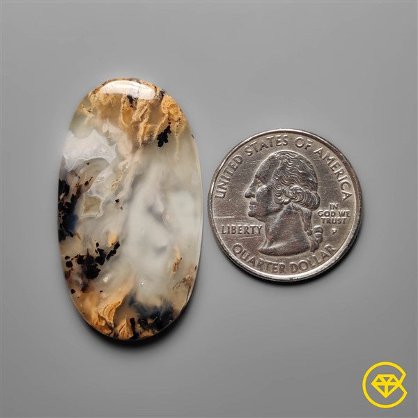Dendritic Agate