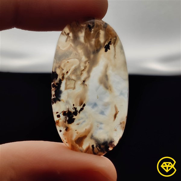Dendritic Agate