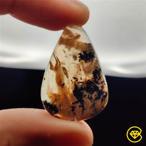 Dendritic Agate