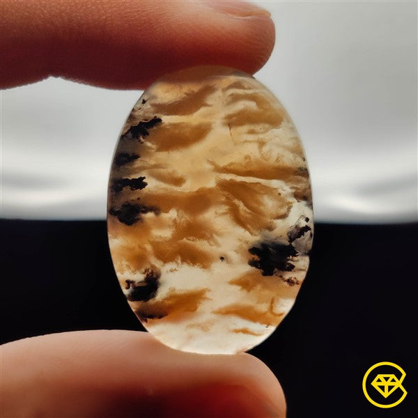 Dendritic Agate