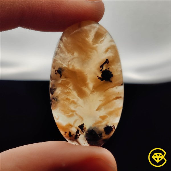Dendritic Agate