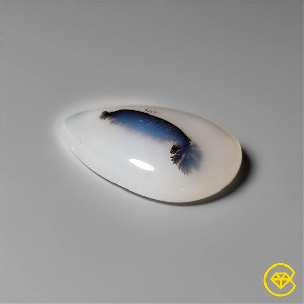 Scenic Agate
