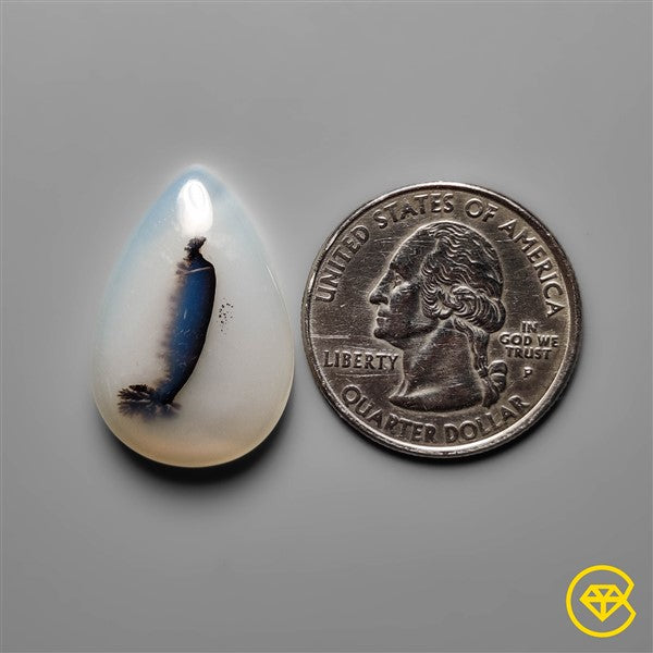 Scenic Agate