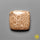 Fossil Coral