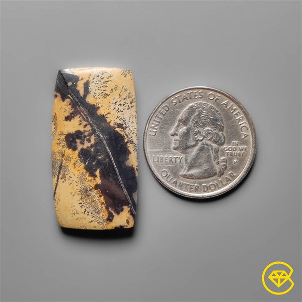 Sagebrush Jasper