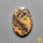 Sagebrush Jasper