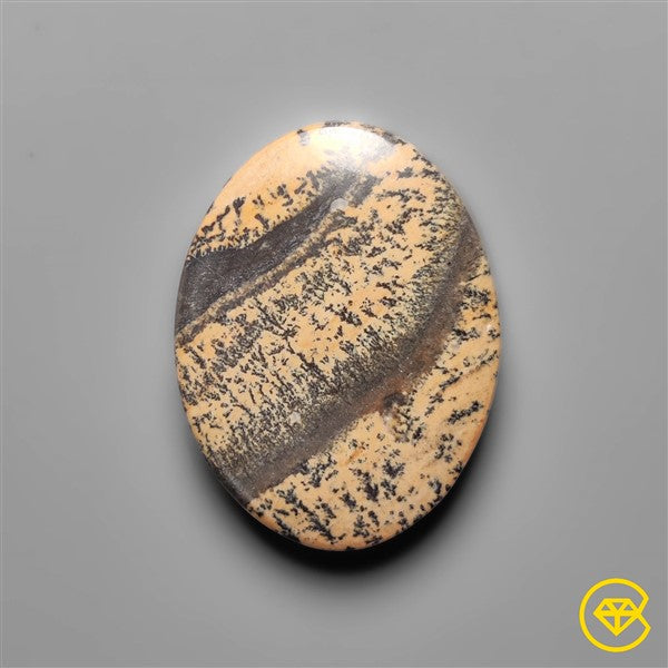 Sagebrush Jasper