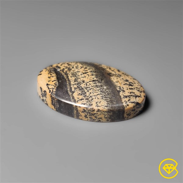 Sagebrush Jasper
