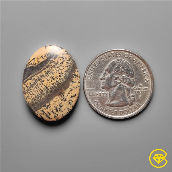 Sagebrush Jasper