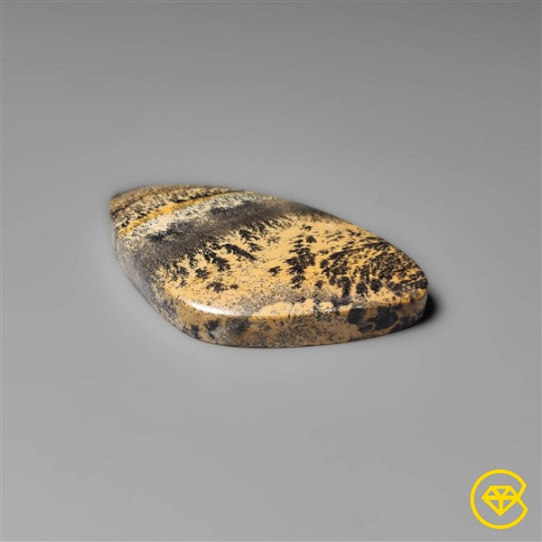 Sagebrush Jasper