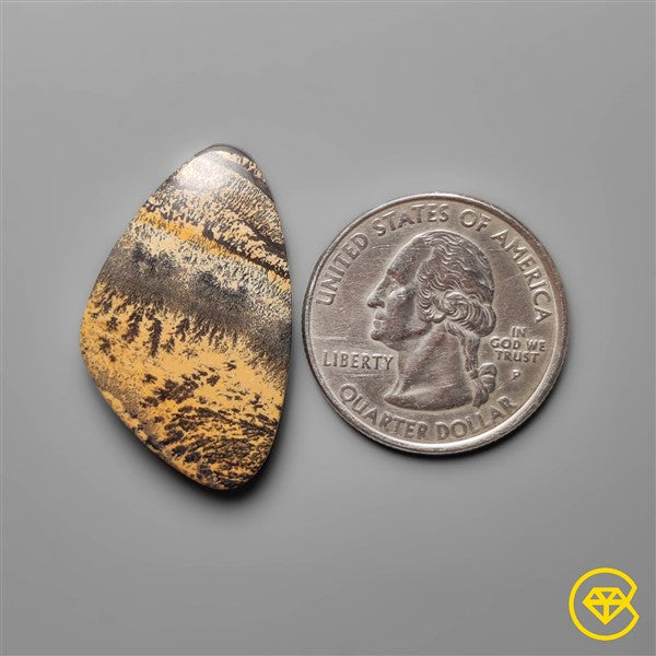 Sagebrush Jasper